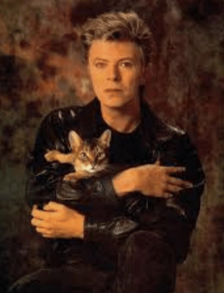 David Bowie