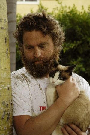 Zach Galifianakis