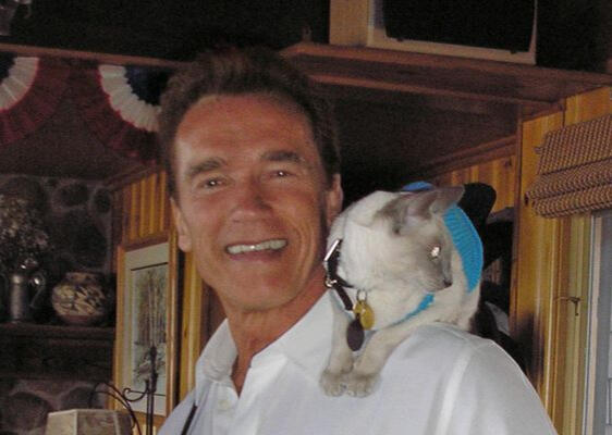 Arnold Schwarzenegger