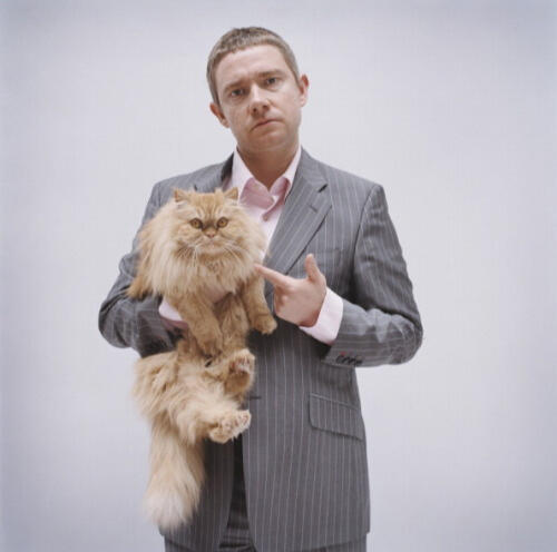 Martin Freeman